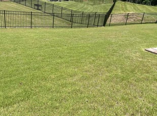 Cody M.'s grass cutting service result