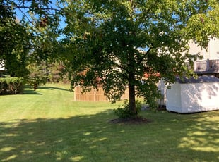 Donald G.'s lawn care service result