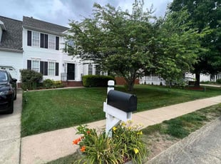 Adam R.'s lawn care services service result