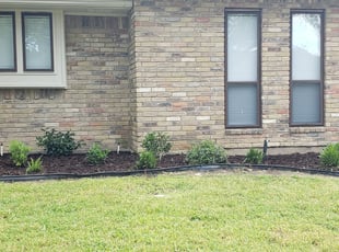 Mary D.'s Bush Trimming service result