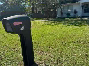 Lisa G.'s turf maintenance service result