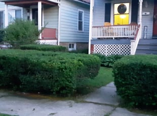 Megan Z.'s Bush Trimming service result