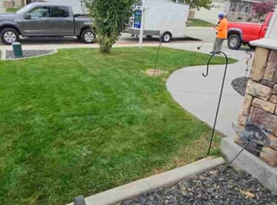Mark L.'s lawn service service result