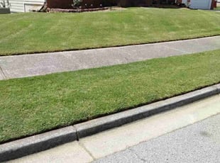 Melvin W.'s lawn care services service result