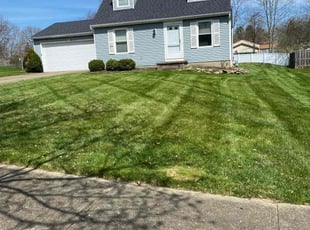 Steve B.'s turf care service result