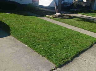 Kenneth A.'s turf maintenance service result