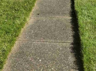 Rickey W.'s turf maintenance service result