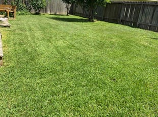 Emily C.'s lawn service service result