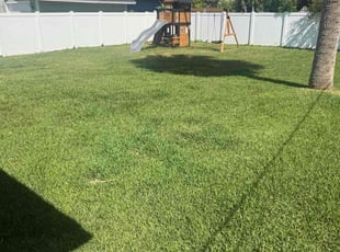 Rachel E.'s turf maintenance service result