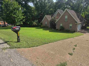 Devyn L.'s turf care service result