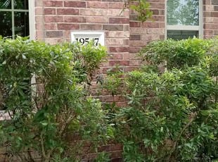 Gabriel H.'s Bush Trimming service result