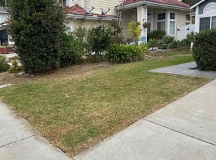 Birdie R.'s turf maintenance service result