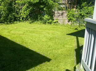 Robin K.'s grass maintenance service result