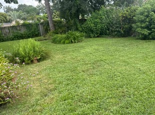 Melinda W.'s grass cutting service result