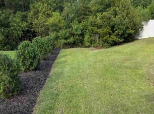 Gayle S.'s turf maintenance service result