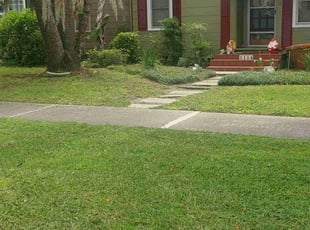 Angie F.'s grass cutting service result