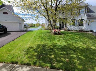 Barry B.'s turf maintenance service result