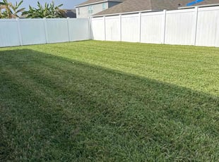 Maria H.'s grass cutting service result