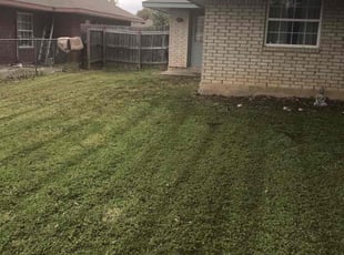 Dominic E.'s grass maintenance service result