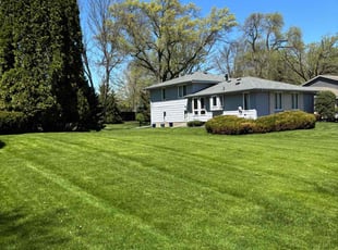 Sarah C.'s grass cutting service result