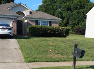 Carmen O.'s Bush Trimming service result