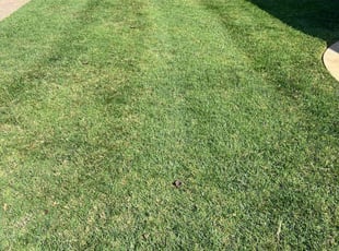 James M.'s lawn care services service result