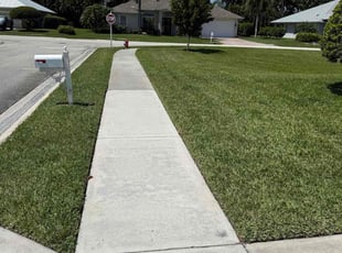 Dajuane H.'s lawn maintenance service result