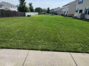 Alyssa J.'s lawn care service result