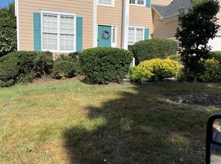 Betty P.'s Bush Trimming service result