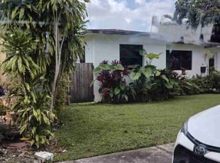 Tim H.'s grass maintenance service result