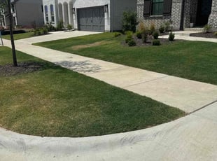 Louel M.'s turf care service result