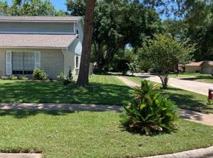 Vickie H.'s lawn care services service result