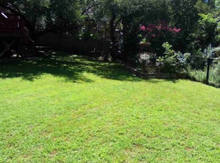 Mary P.'s turf maintenance service result
