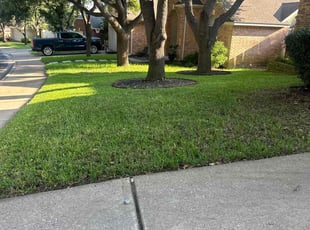 Samuel R.'s lawn maintenance service result
