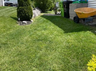 Teri B.'s lawn service service result