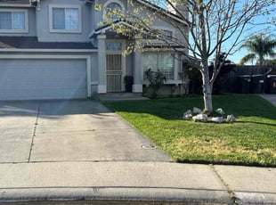 Melissa L.'s turf care service result