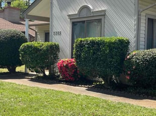 Diana C.'s Bush Trimming service result