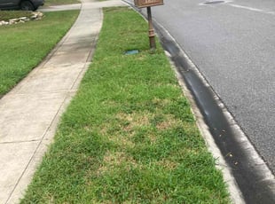 Carla J.'s turf care service result