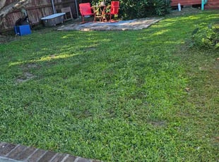 Jose G.'s lawn care service result