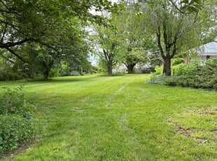 Juan M.'s turf care service result