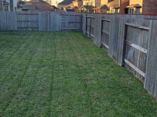 Vaughn B.'s turf care service result