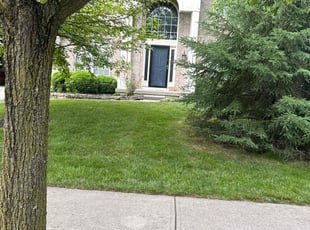 William G.'s grass maintenance service result