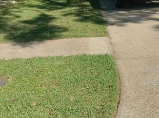 Miranda M.'s turf care service result