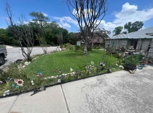 Mike P.'s lawn maintenance service result