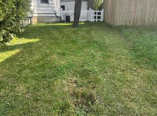 Li D.'s lawn maintenance service result