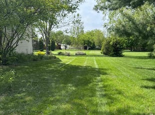 Tranell P.'s lawn service service result