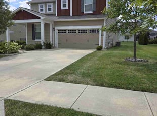 Kathryn H.'s turf care service result
