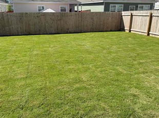 Amanda M.'s lawn care services service result