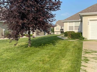 Mare C.'s turf maintenance service result