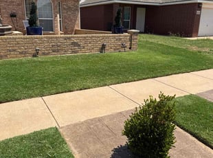 Mary S.'s yard maintenance service result